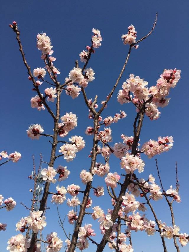 腾博会app_手机版下载
网-腾博会app新闻门户 传播品质资讯